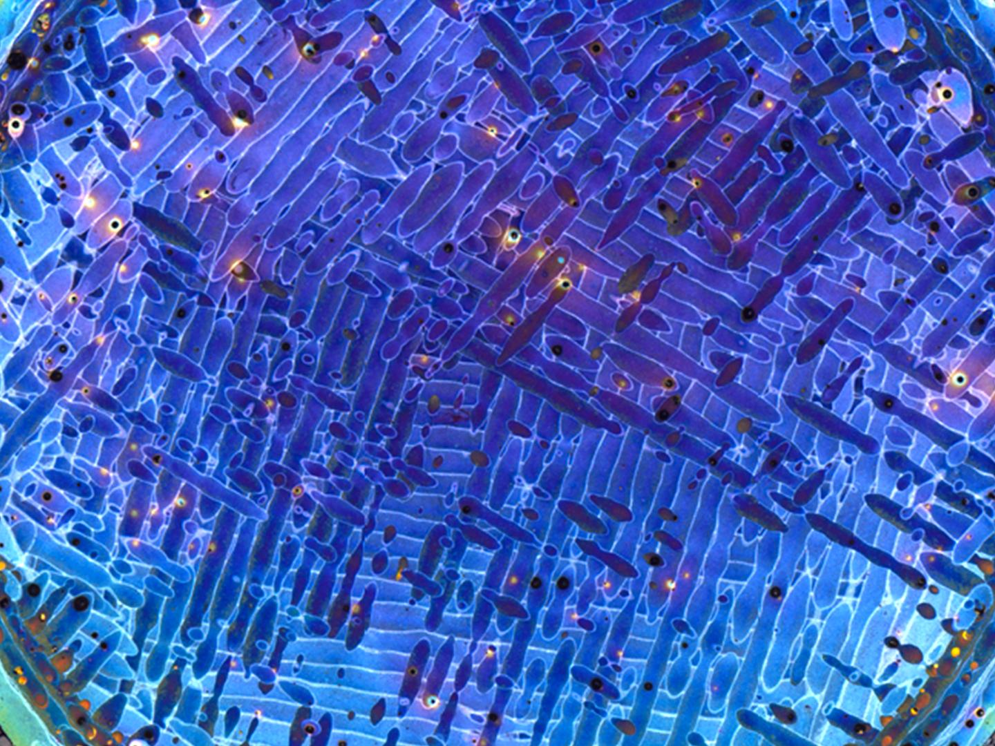 Routine inspection of additively manufactured aluminum-silicon sample