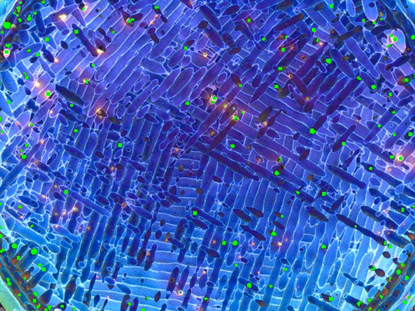 Routine inspection of additively manufactured aluminum-silicon sample