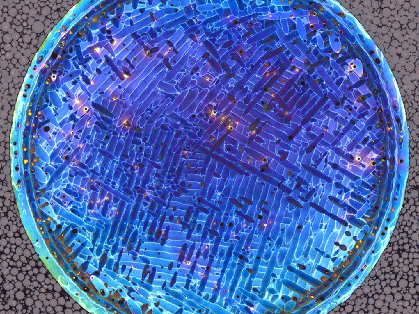Image of a porosity analysis.